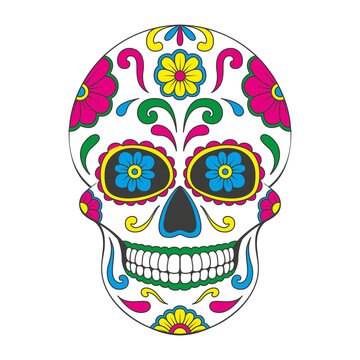 Day of The Dead sugar Skull with floral ornament. Mexican skull. Illustration on transparent background