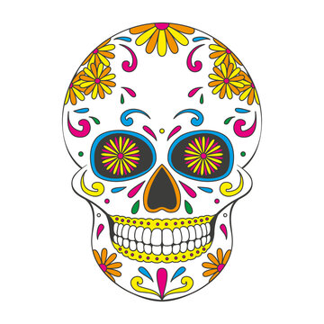 Day of The Dead sugar Skull with floral ornament. Mexican skull. Illustration on transparent background