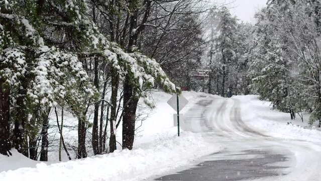 snow covered road and  trees in the forest 4k resolution falling snow