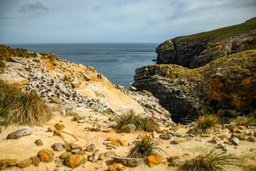 view of the coast of the atlantic ocean