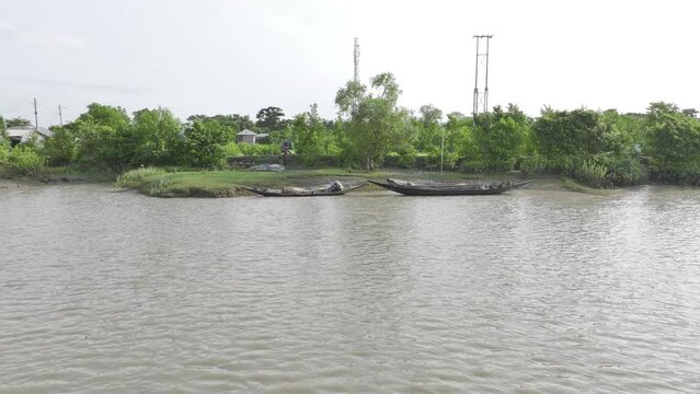 the river in the forest - slowly smooth troly video shhot- hlg raw video footage