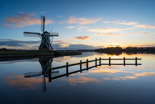 Haren 이미지 찾아보기 432 스톡 사진, 벡터 및 비디오 Adobe Stock