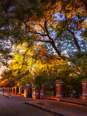 Naklejka premium Autumn city street, with autumn yellow trees. Illustration