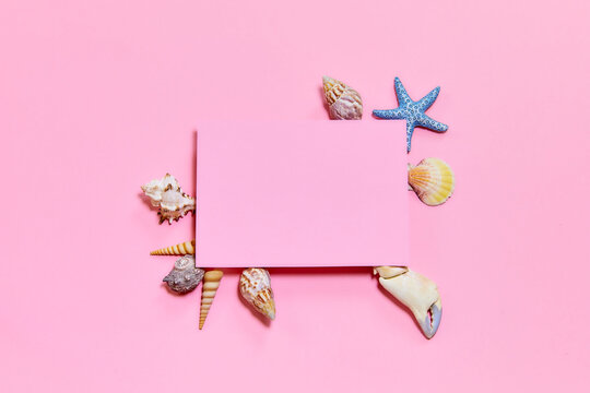 pink flatlay with seashells and starfish