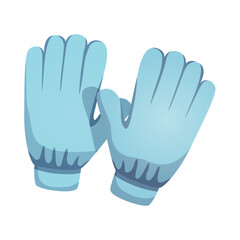 Winter Blue Gloves Composition