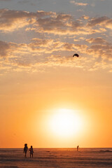 Ameland-The Netherlands-13-08-2022: Boy flying a plane at the beach.