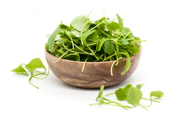 Frischer Winter-Portulak in hölzerner Schale