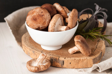 Frische Shiitakepilze in weißer Schale auf einer Baumscheibe