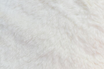 Fototapeta na wymiar White wool texture, abstract fur background