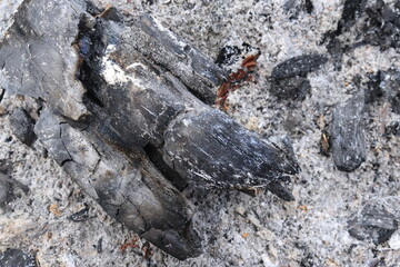 Background of burning wood ashes and charcoal

