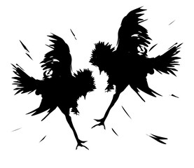 Silhouettes of fighting cocks. Vector illustration isolated on white background. © Khoirul yaqin