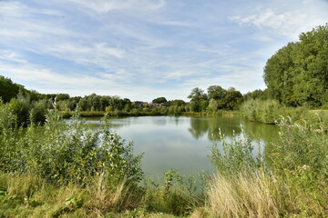 Fototapeta premium Le petit lac entouré de végétation luxuriante au parc du Paradis à Braine l'Alleud en Brabant Wallon 