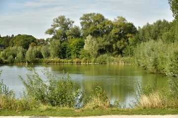 Le petit lac entouré de végétation luxuriante au parc du Paradis à Braine l'Alleud en Brabant Wallon 