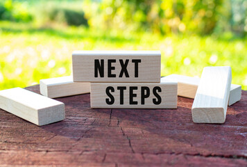 The text NEXT STEPS is written on a wooden cubes lying on an old tree stump against a blurred garden background.