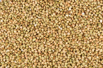 organic bio buckwheat