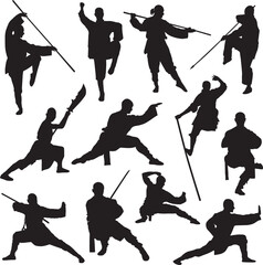 silhouette of shaolin martial arts