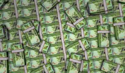 Obraz premium Sri Lanka 1000 Rupee money banknotes pack 3d illustration