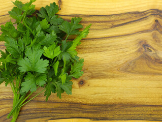 A bunch of fresh parsley on a kitchen board. Parsley sprigs top view. Spicy herbs for cooking. bunch of green parsley leafs on wooden surface