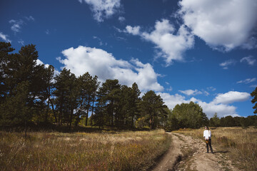 Obraz premium Woman walking in a field carrying a basket of flowers in the rocky mountains - dirt road, foraging, sustainable lifestyle