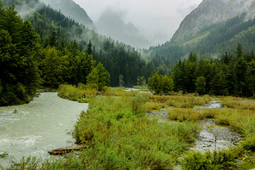 Fototapeta na wymiar alpine stream in the mountains landscape