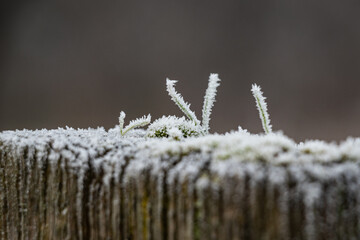frost and ice crystals on a wooden post outdoors