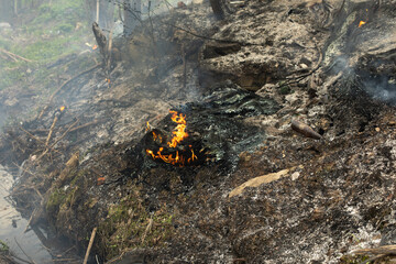 Burning wheels in landfill. Details of fire. Ashes and smoke.