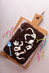 Chocolate cake with dinosaur bones for a child birthday © fahrwasser
