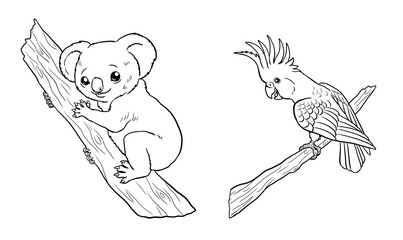 Cute koala and cockatoo for coloring. Template for a coloring book with funny animals. Coloring template for kids.