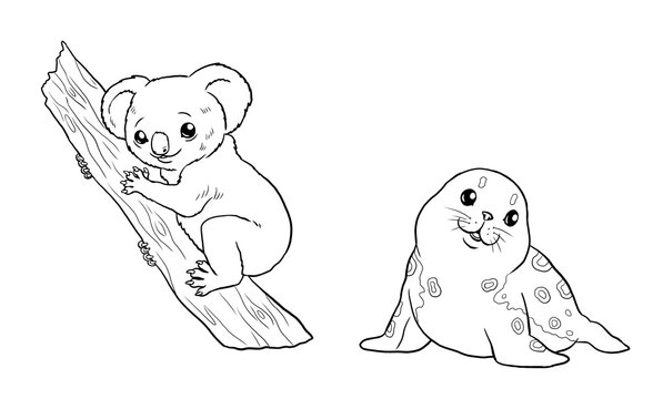 Cute koala and seal for coloring. Template for a coloring book with funny animals. Coloring template for kids.