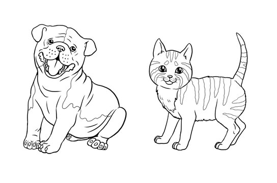 Cute english bulldog and cat coloring page. Template for a coloring book with funny animals. Coloring template for kids.