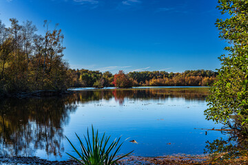 Fototapeta na wymiar Herbst am Moorsee