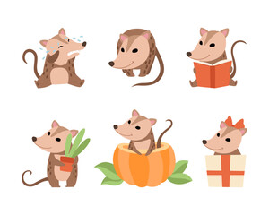 Obraz premium Cute Opossum Animal Engaged in Different Activity Vector Set