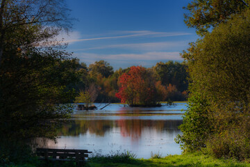 Moorsee im Herbst