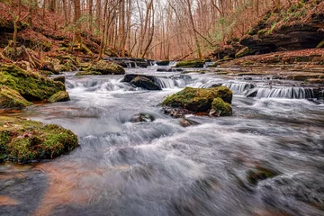 Fotobehang Mountain stream by hiking trail at Short Springs Natural Area. Bobo creek in Coffee County Tullahoma Tennessee USA. © Carl Banks