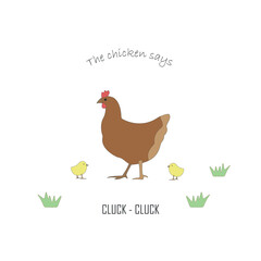 Chickens flat vector illustration. Multicolor chicks and hen cartoon with text cluck. Educational card with farm animal. Chicken meat production, bird breeding. Poultry farm, animal husbandry