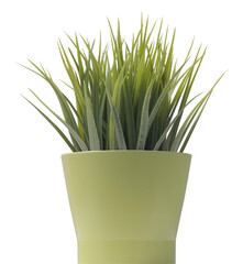 Lush plant in a decorative vase