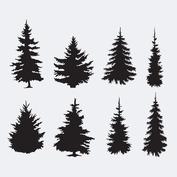 Set of silhouettes of pine trees or fir trees.