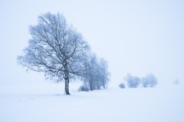 Winter landscape covered in snow and frost, highlands landscape with trees and meadows