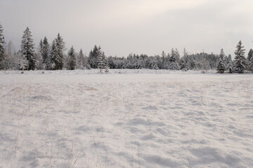 Winterlandschaft im Tiefenberger Moos.