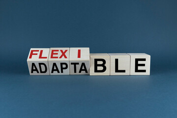 flexible or adaptable. Cubes form a selection of the words Flexible or Adaptable