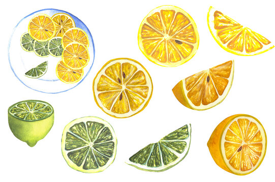 Watercolor saucer with lemons and limes art