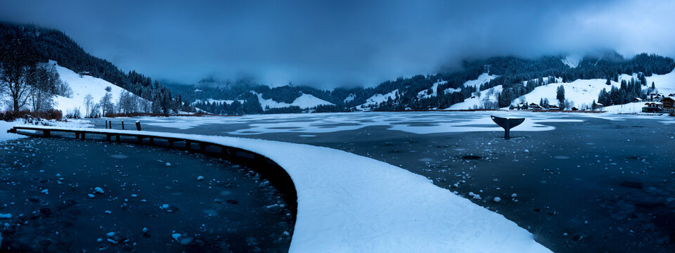 Schwarzsee Winter, Fischflosse, Ein Br&uuml;cke