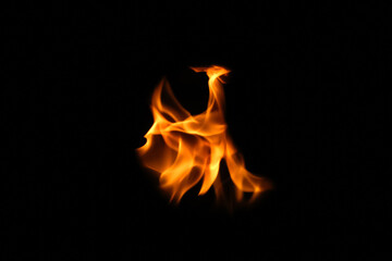 Defocus fire flames. Eagle silhouette Fire embers particles over black background. Fire sparks background. Abstract dark glitter fire particles lights. bonfire in motion blur. Out of focus