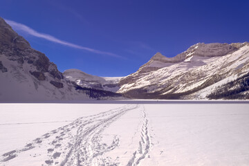 ski tracks across a frozen mountain lake