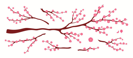 Plum blossoms, flowers, tree branch, floral design elements collection, clipart set, isolated on white. Hand drawn vector illustration. Modern flat style. Spring, Lunar New Year card, poster, banner