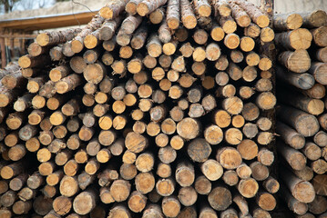 sawn wood, stacked logs of trees