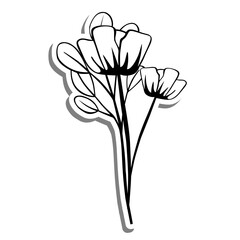 Monochrome two flowers and leaves on white silhouette and gray shadow. Vector illustration for decoration or any design.