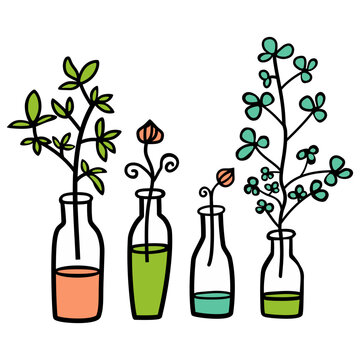 bottles with plants and flowers
