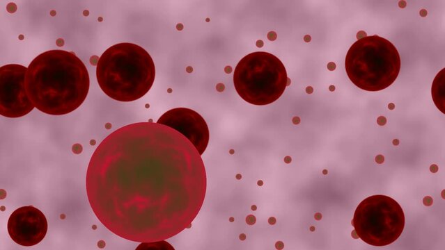 Dangerous dark red bacterias or virus spheres floating in  infected blood. Healthy problem.