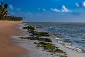Rocks on the edge of the beach at low tide, with coconut trees in the background.